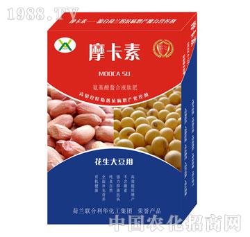 󶹌(zhun)ðҺķ-Ħ-(qing)о(gu)H