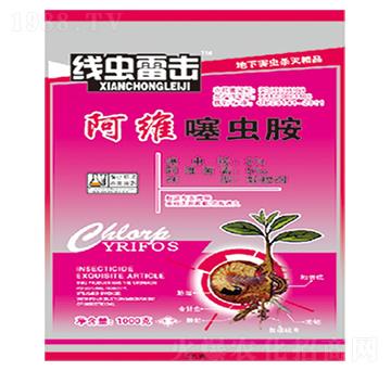 Sx(chng)-(xin)x(chng)ד-