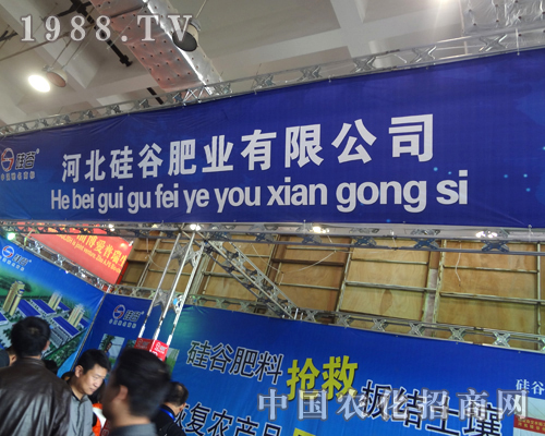 ȷʘI(y)ʮˌÝ(j)ֲչ^