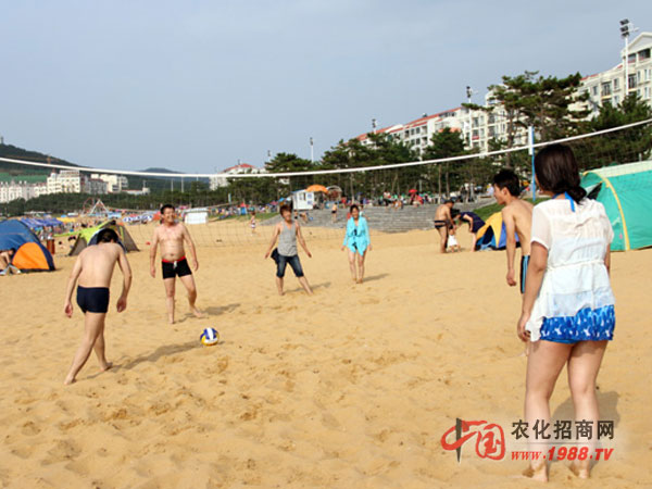 沙灘排球