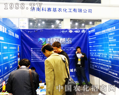 http://www.financial-elements.com/qiyeku/cnkesai/