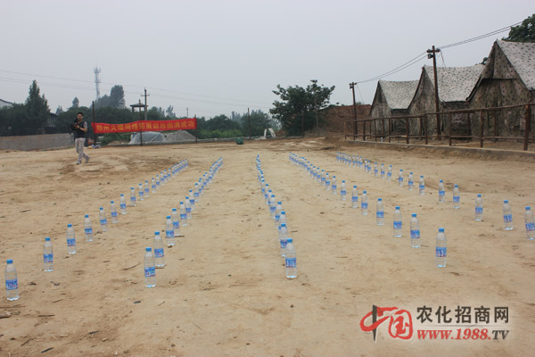 組建團(tuán)隊