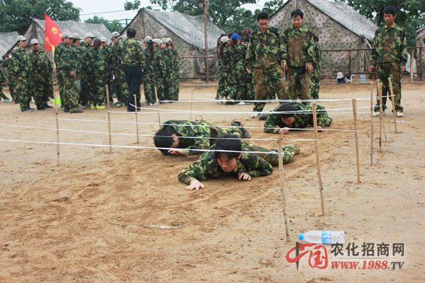 挑戰(zhàn)隊(duì)-堅持才能收獲成功