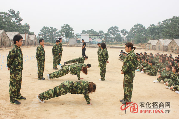 組建團(tuán)隊
