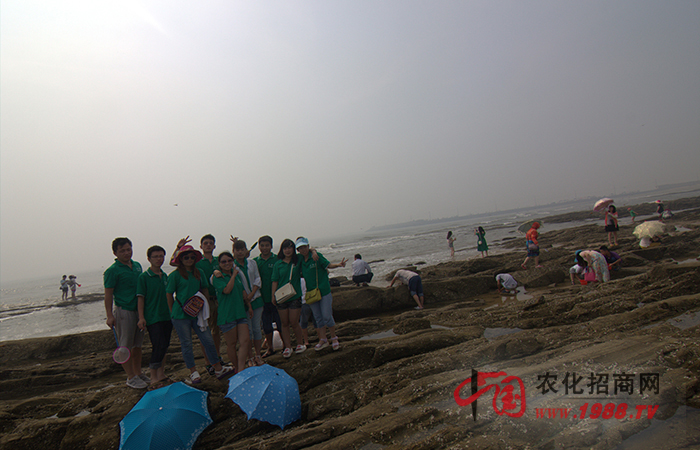 踏浪拾貝