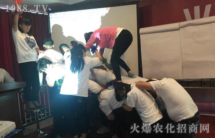 拖延導(dǎo)致平庸,行動成就