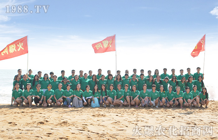 愛上這個(gè)夏天:陽光沙灘比基尼和藍(lán)天