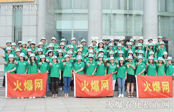 7月,我們相約擁抱大海