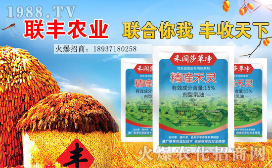 【聯(lián)豐農業(yè)】祝大家2017年心想事成,工作順利,闔家歡樂!