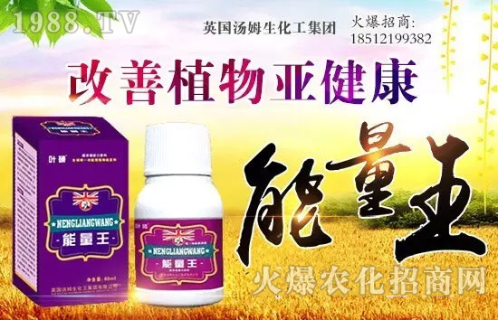英國湯姆生化工集團(tuán)有限公司