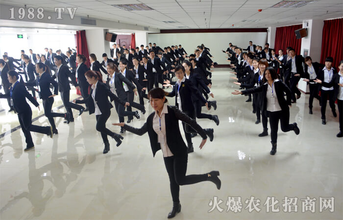 九年火爆網(wǎng) 五年共相伴