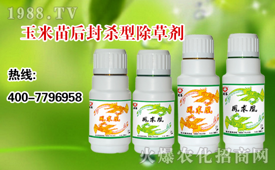 【順天農業(yè)】祝大家:幸福萬年長,快樂無邊疆,好運更健康!