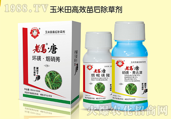 【順天農業(yè)】祝大家:幸福萬年長,快樂無邊疆,好運更健康!