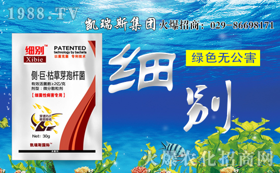 【凱瑞斯集團(tuán)】祝大家生意興隆!闔家歡樂!