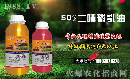 【德國(guó)世!孔4蠹倚碌囊荒昀锶f(wàn)事如意,夢(mèng)想成真!