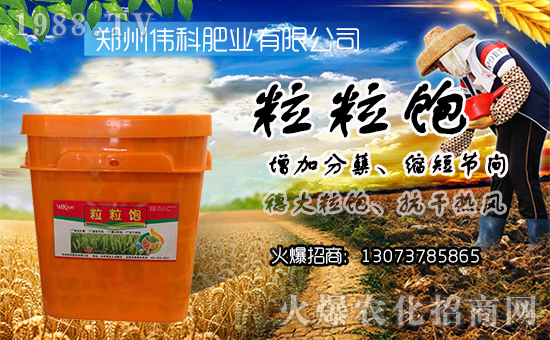 【偉科肥業(yè)】祝大家在新的一年里財(cái)源滾滾來!