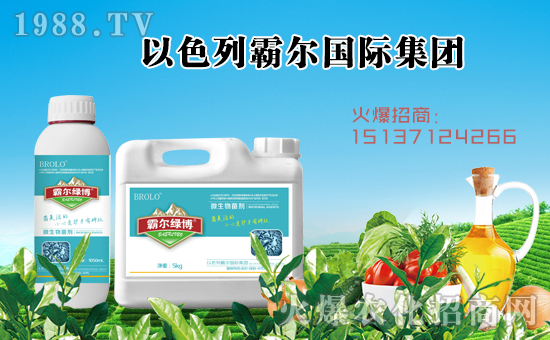 【霸爾國際】祝全國朋友在新的一年里工作順利,步步高升!