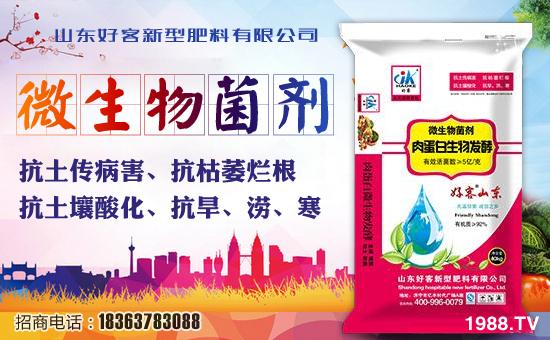 十年,不畏將來(lái),不念過(guò)往,秉持心氣,何懼遠(yuǎn)方!