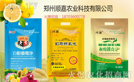 【順嘉農(nóng)業(yè)】祝大家狗年里身體健康,萬(wàn)事如意!