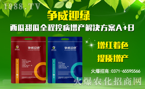 【滿天紅植物】祝大家在新的一年里身體健康,萬事如意!