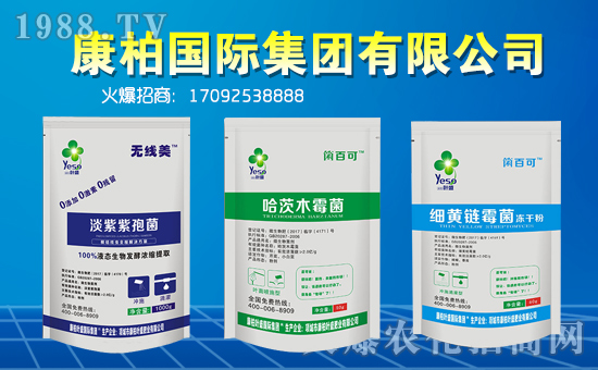 【康柏國(guó)際】祝福一路相伴的朋友們?cè)谛碌囊荒昀镄腋C罎M,闔家歡樂(lè)!