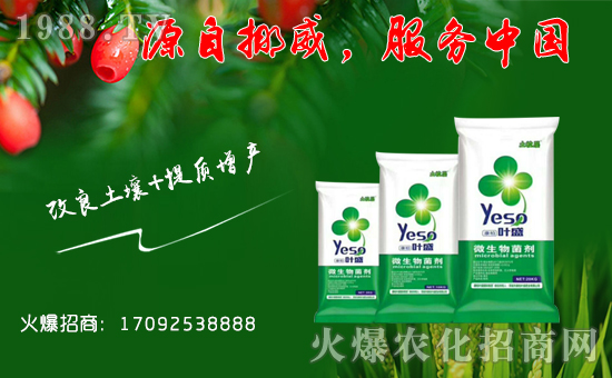 【康柏國(guó)際】祝福一路相伴的朋友們?cè)谛碌囊荒昀镄腋C罎M,闔家歡樂(lè)!