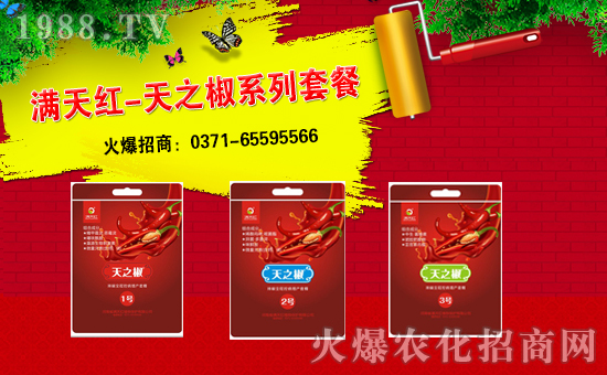 滿天紅