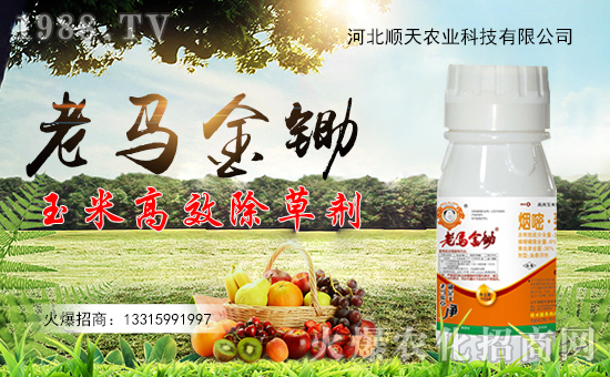 【順天農(nóng)業(yè)】祝全國(guó)朋友在新的一年里幸福美滿,闔家歡樂(lè)!