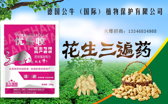 【德國公!孔4蠹以谛碌囊荒昀锕ぷ黜樌讲礁呱!