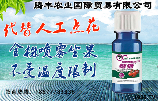 騰豐農(nóng)業(yè)國(guó)際貿(mào)易有限公司