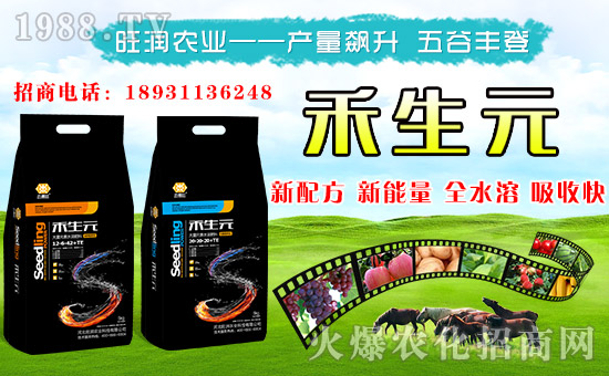 【旺潤農業(yè)】給您拜年啦!祝您新春大吉,萬事如意!