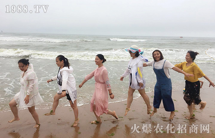 夏日的海風(fēng),吹散這炎熱