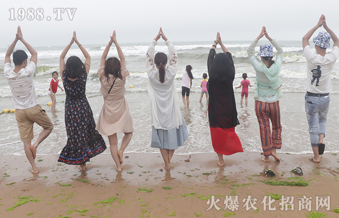 風(fēng)平浪靜的背后,實則波濤洶涌