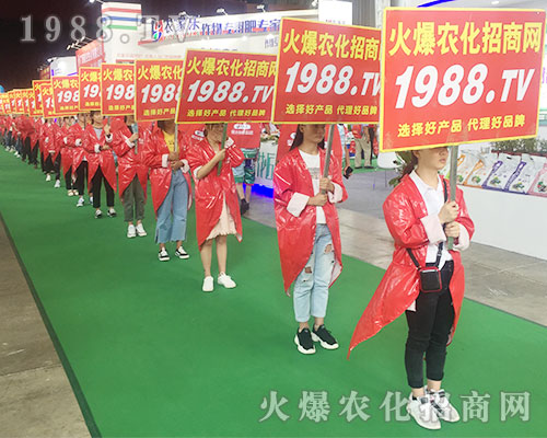 2018r(nng)Y1988.TVȫԸ