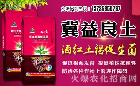 迎春思試劍,三擂戰(zhàn)鼓氣吞虹。舊年離去的時(shí)候,同時(shí)離去的也是所有的不快;當(dāng)迎來(lái)新春的時(shí)候,同時(shí)也迎來(lái)了新的希望。