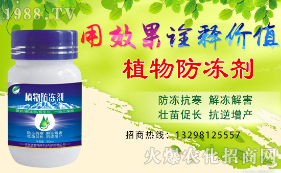 【瑞泰恒昌】全體員工恭祝全國經銷商身體健康,豬年吉祥!