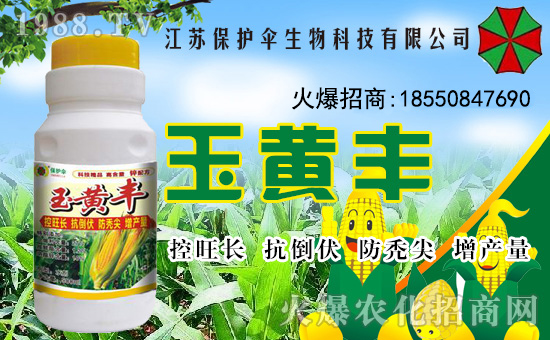 【保護(hù)傘生物】祝全國朋友在新的一年里工作順利,步步高升!