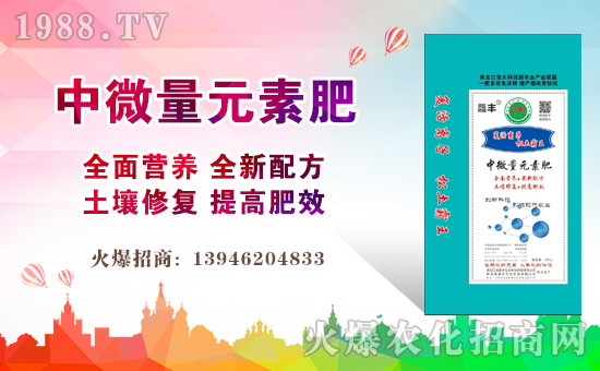 中微量元素肥-潤(rùn)喜豐