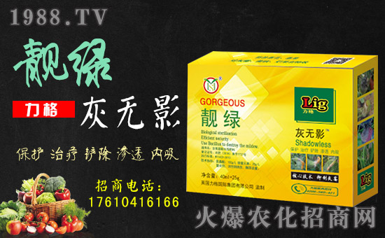 【英國(guó)力格】祝您歡歡喜喜迎狗年,萬(wàn)事如意平安年!