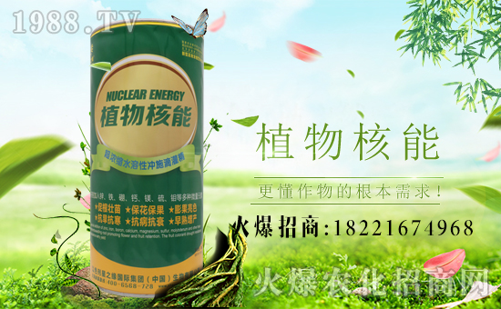 【星之緣】恭祝大家新春快樂、身體健康、闔家幸福、萬(wàn)事如意!