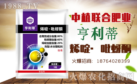 【中植聯合】祝新老朋友新年快樂,萬事如意!