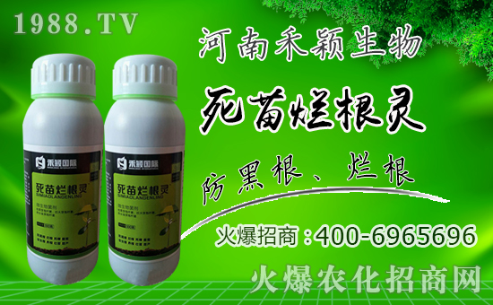 【禾穎生物】祝大家在新的一年里生意興隆,萬(wàn)事如意!