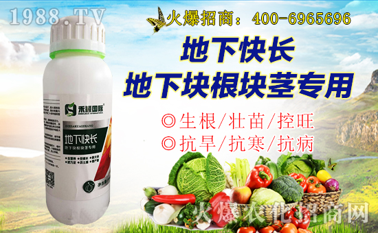 【禾穎生物】祝大家在新的一年里生意興隆,萬(wàn)事如意!