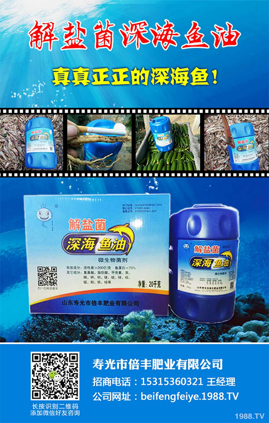 【壽光倍豐肥業(yè)】祝福大家在新的一年里開年大吉,萬(wàn)事如意!