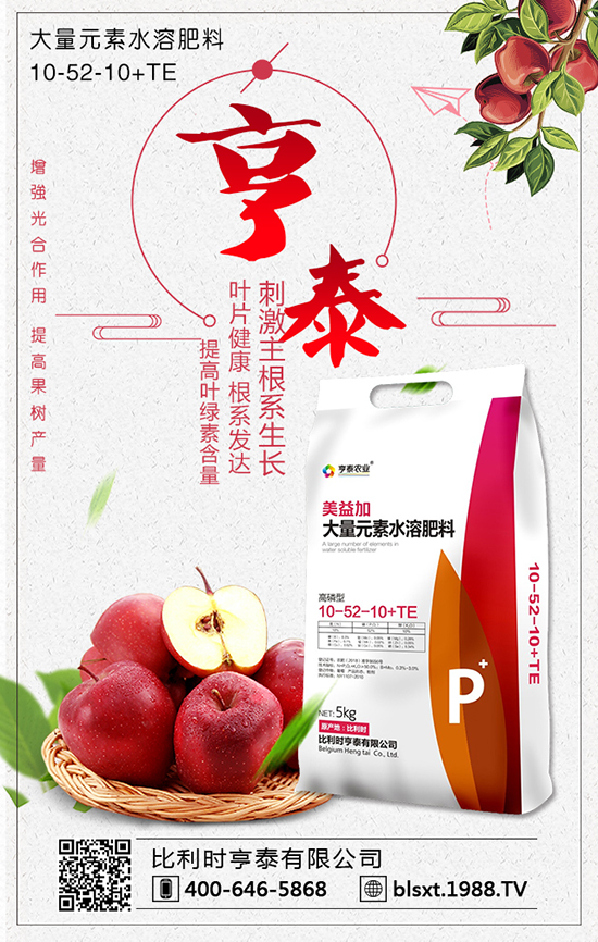 比利時(shí)亨泰有限公司7