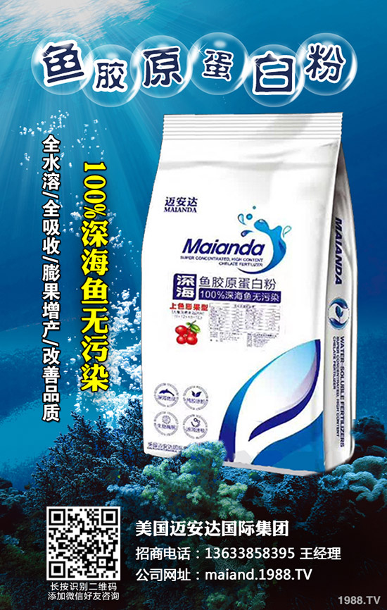 2019年10月下旬最新尿素行情走勢綜合分析