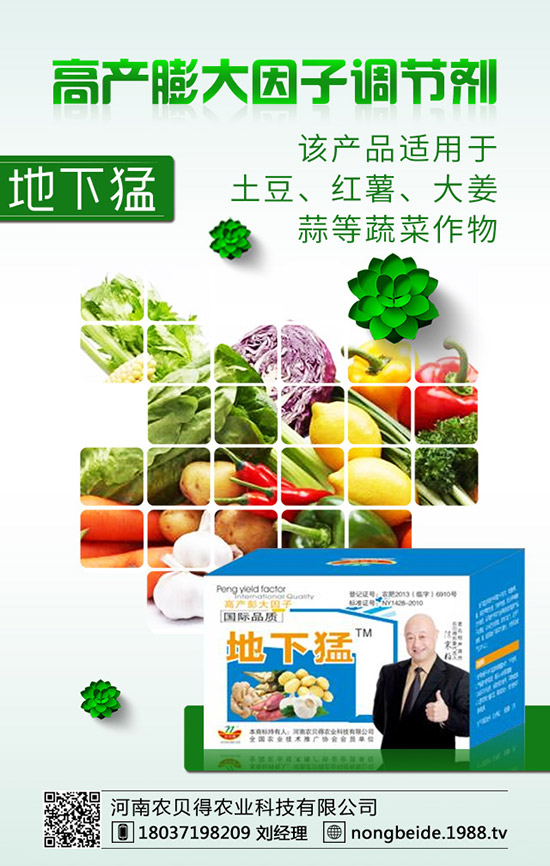 有機(jī)大白菜的種植要點您知道嗎?有機(jī)大白菜種植技術(shù)!