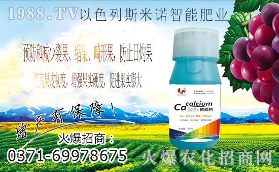 ɫ˹Zɹvr(nng)W(wng)M(jn)܊W(wng)j(lu)I(lng)