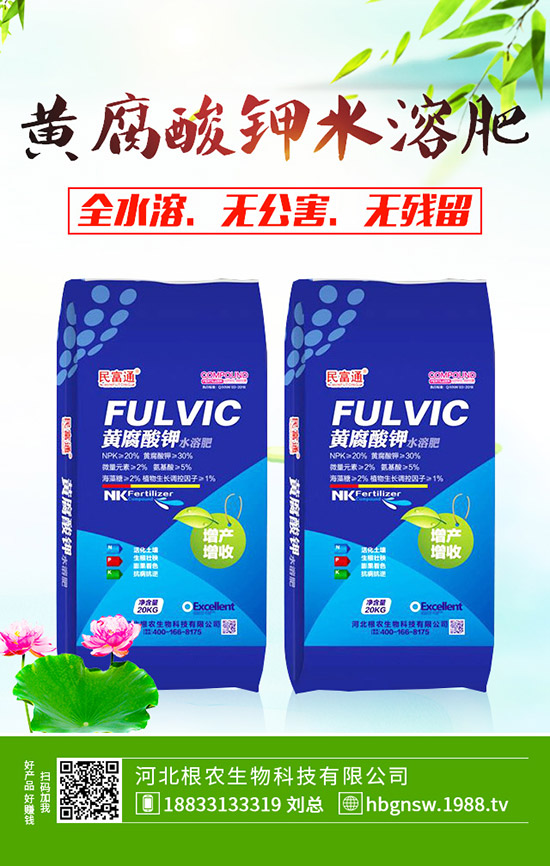 山楂適合什么時間種植,山楂的種植管理!