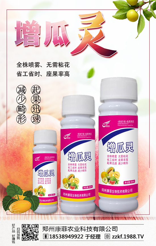 大棚南瓜怎么種植?大棚南瓜的種植中要點!
